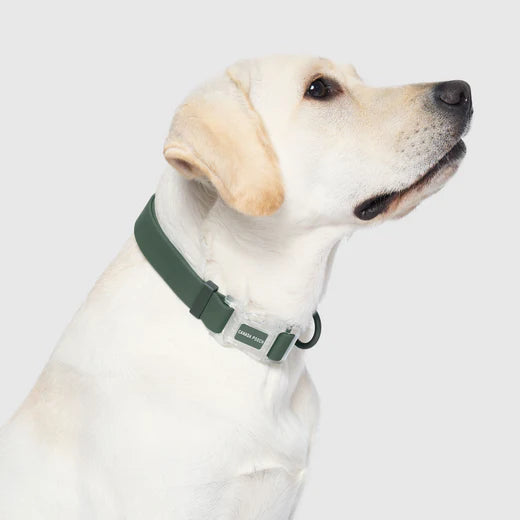 Canada Pooch Waterproof Collar Forest Green