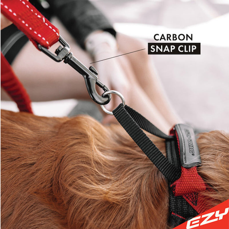 EzyDog ZERO Shock 25" Leash for Dogs