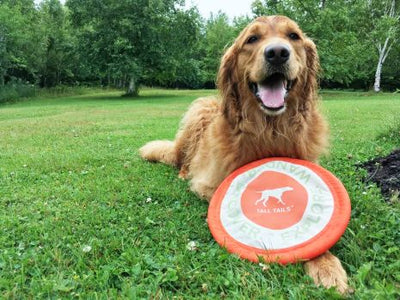 Tall Tails Soft Flying Fetch Disc for Dogs