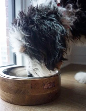 Tall Tails designer 6 cup wood food bowls