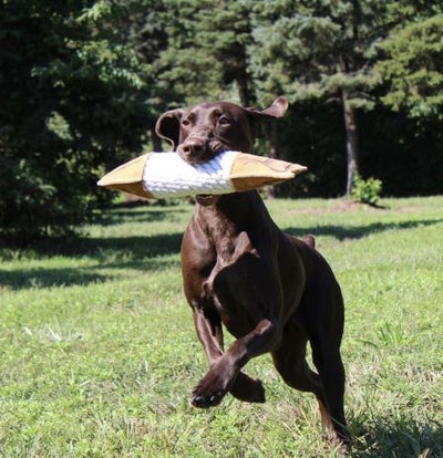 Tall Tails Leather Trout Natural Dog Toy