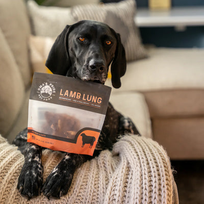 Natural lamb lung treats for pets, supporting healthy skin, coat, and immunity