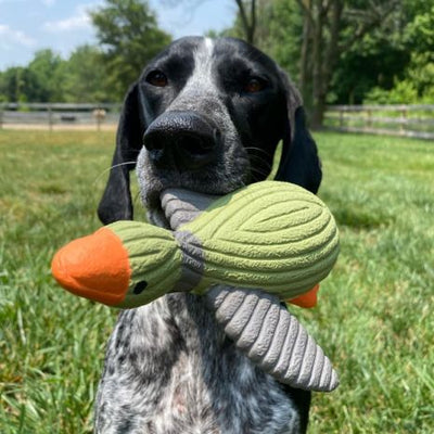 Tall Tails Rubber Squeaker Duck