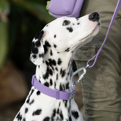 Canada Pooch Waterproof Collar Lavender