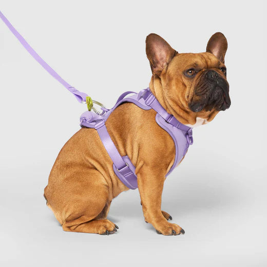 Canada Pooch Neoprene Harness Lavender