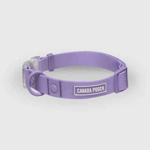 Canada Pooch Waterproof Collar Lavender