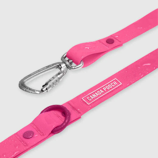 Canada Pooch Waterproof Leash Pink