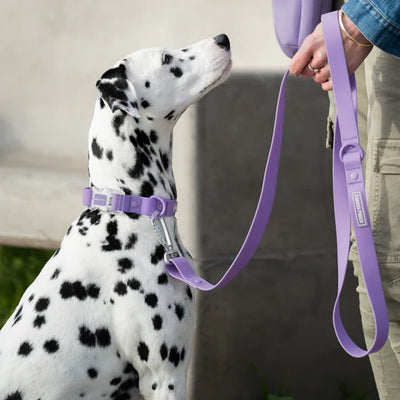 Canada Pooch Waterproof Leash Lavender