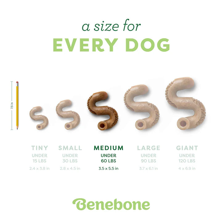 Benebone Dental Tripe Bone Chew for Dogs