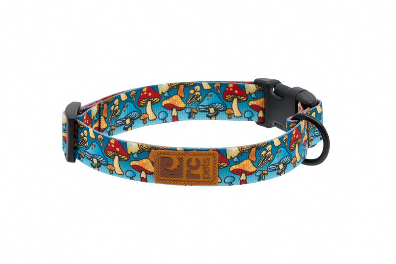 RC Pets Eco Clip Dog Collar- mushrooms