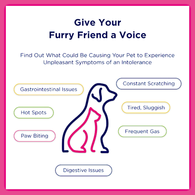 Ucari Intolerance Testing Kit for Pets