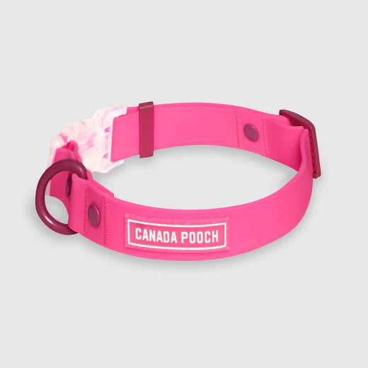 Canada Pooch Waterproof Collar Pink