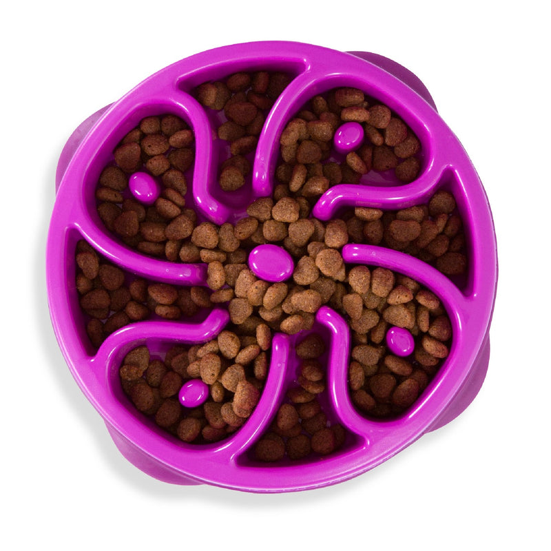 Fun Feeder Slo Bowl Purple-Medium