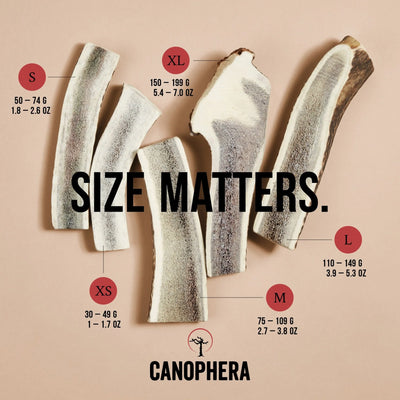 Canophera Red Deer Antler Split dog chew
