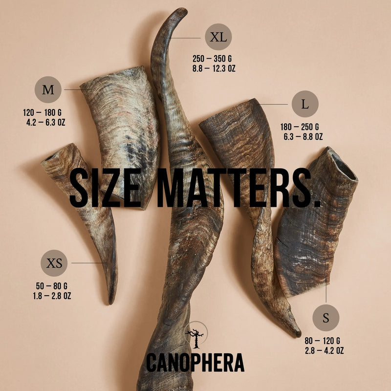 Canophera Sheep Horn Chew