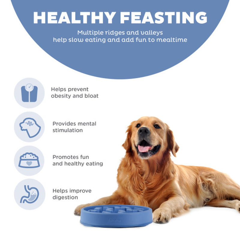 Fun Feeder Blue Slo Bowl- Medium