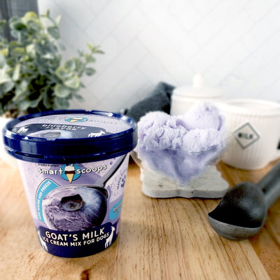 Smart Scoop's Goat's Milk Ice Cream for dogs