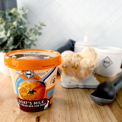 Smart Scoop's Goat's Milk Ice Cream for dogs