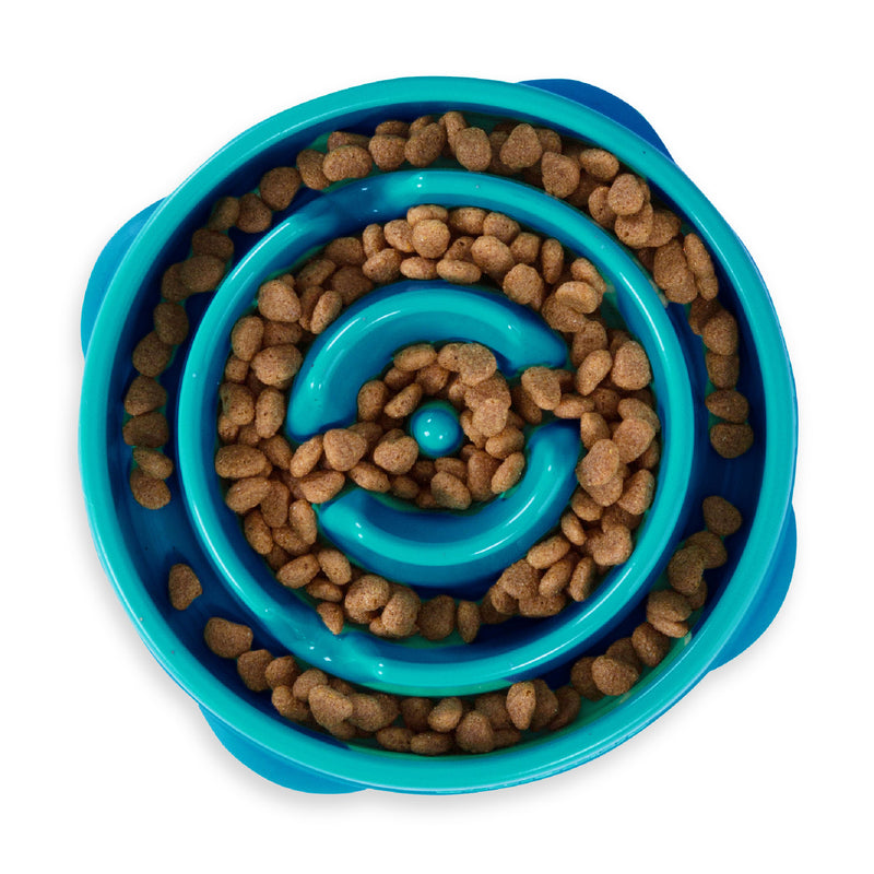 Fun Feeder Slo Bowl Turquoise- Medium