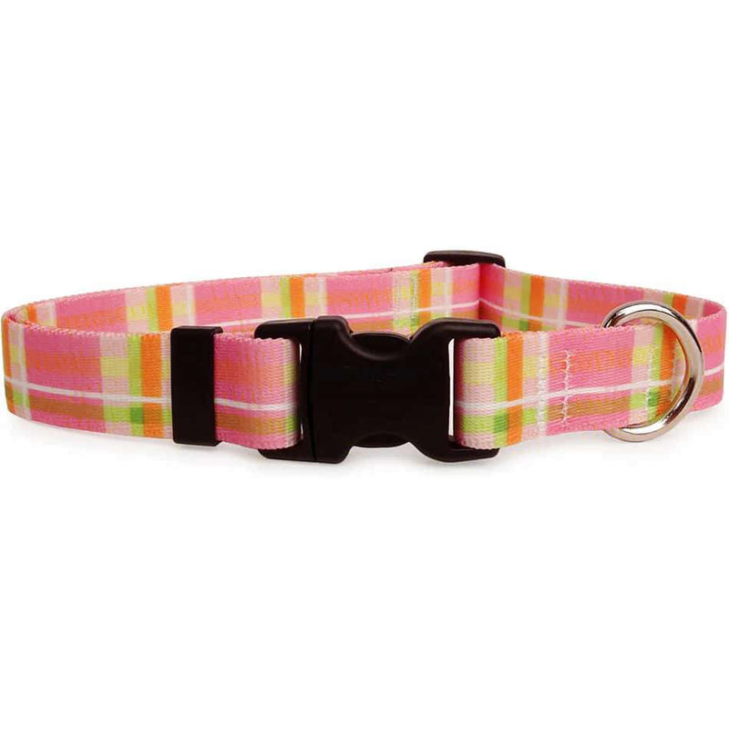 Pink Madras Plaid Dog Collar