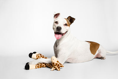 Fluff & Tuff Nelly Giraffe- durable plush toy for dogs