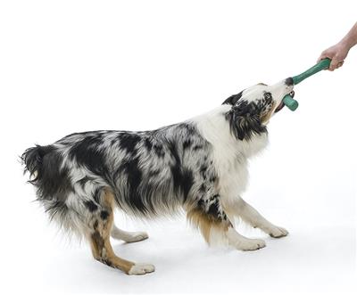West Paw Seaflex Snorkl - eco-friendly dog toy