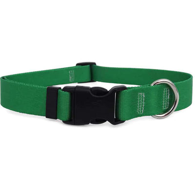 Solid Kelly Green Dog Collar- adjustable or martingale