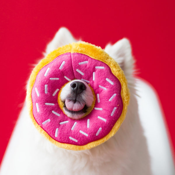 Zippy Paws Plush Stuffing Free Donut Dog Toy