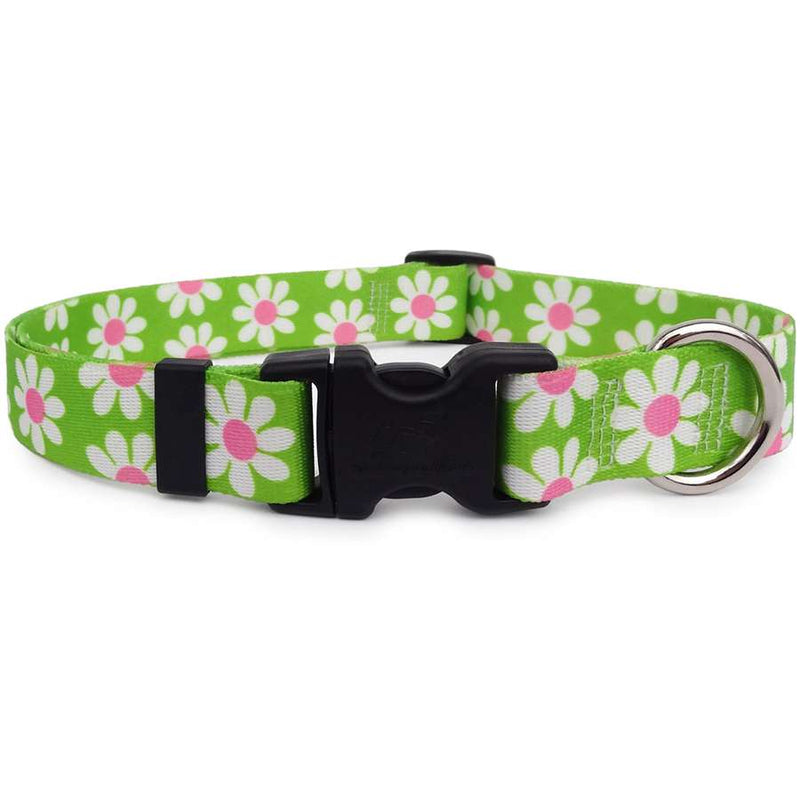 Green Daisy Dog Collar- USA made