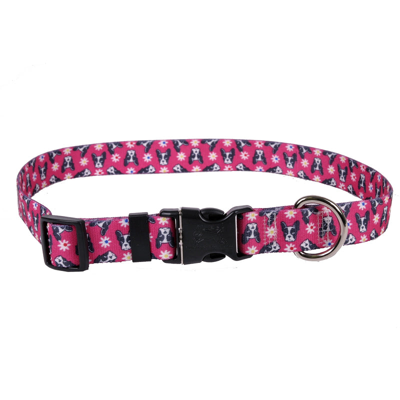Little French Bulldogs Dog Collar- Frenchies