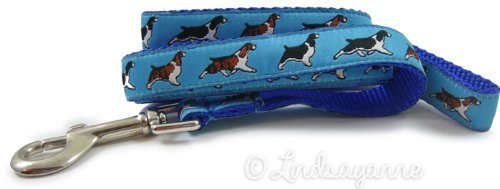 English Springer Spaniel Dog Collar or Leash BigDog Boutique