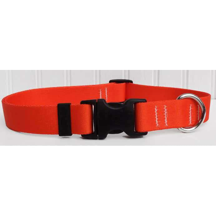 Orange Adjustable Dog Collar
