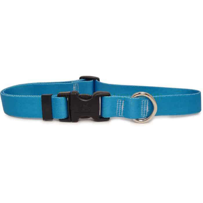Solid Teal Dog Collar- adjustable or martingale
