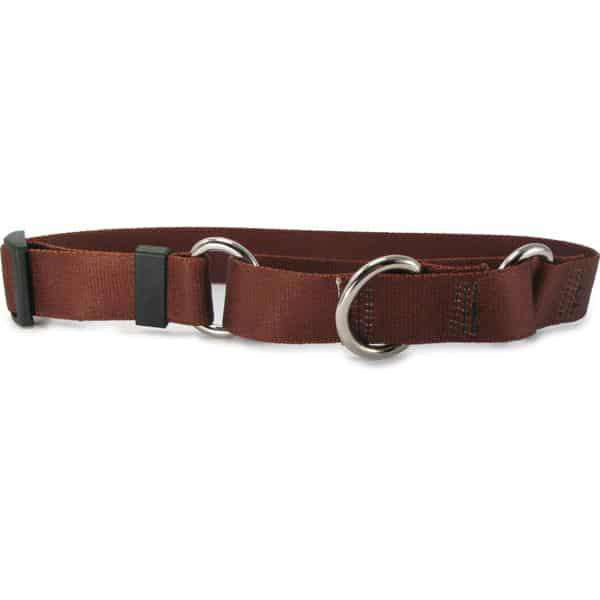 Solid Brown Martingale Dog Collar