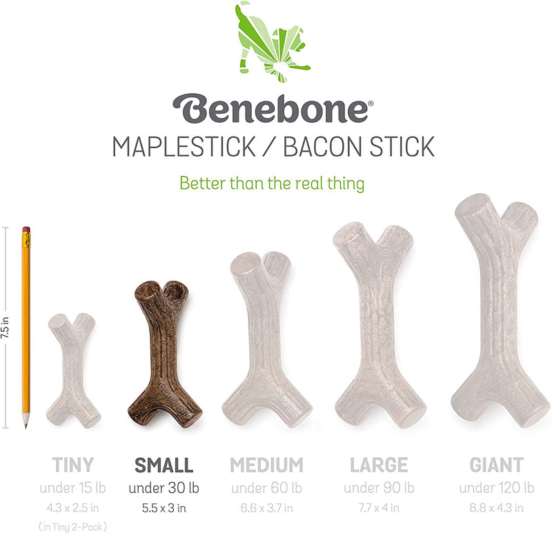 Benebone Puppy Maple Stick Dog Chew Toy