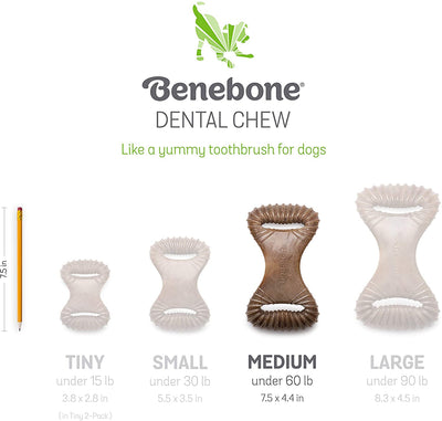 Benebone Dental Chew for Dogs - MADE in USA