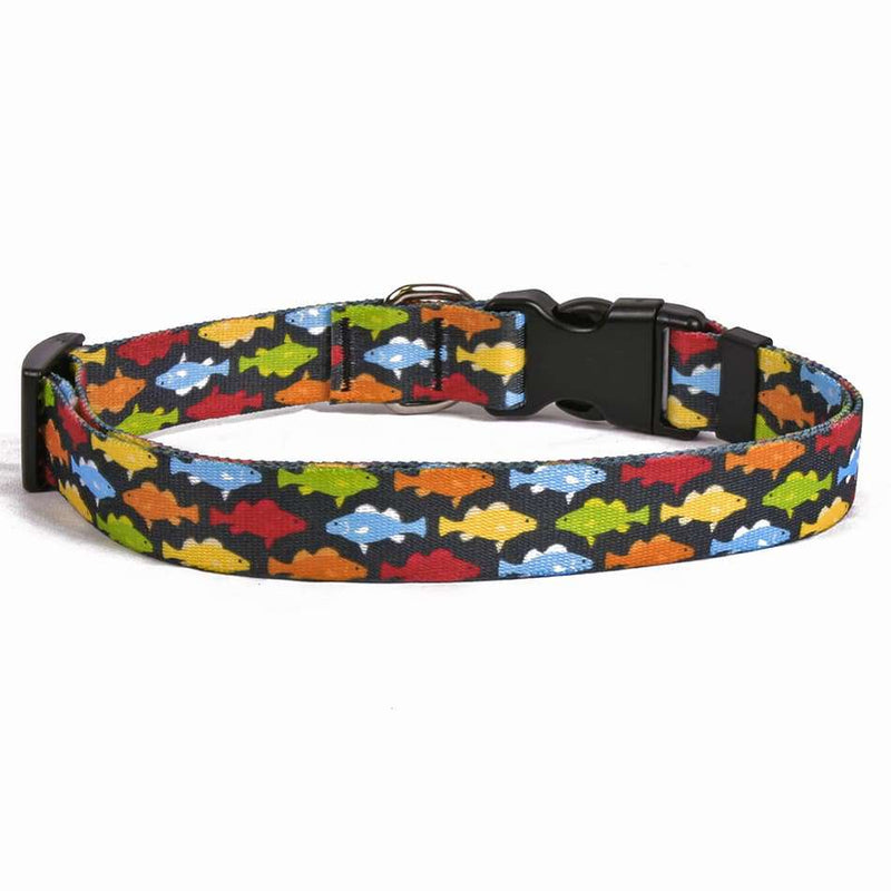 Rainbow Fish Black Dog Collar