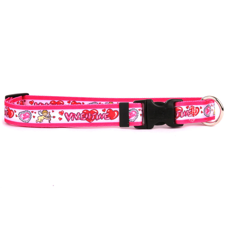 Be My Valentine Cupid Dog Collar- adjustable or martingale