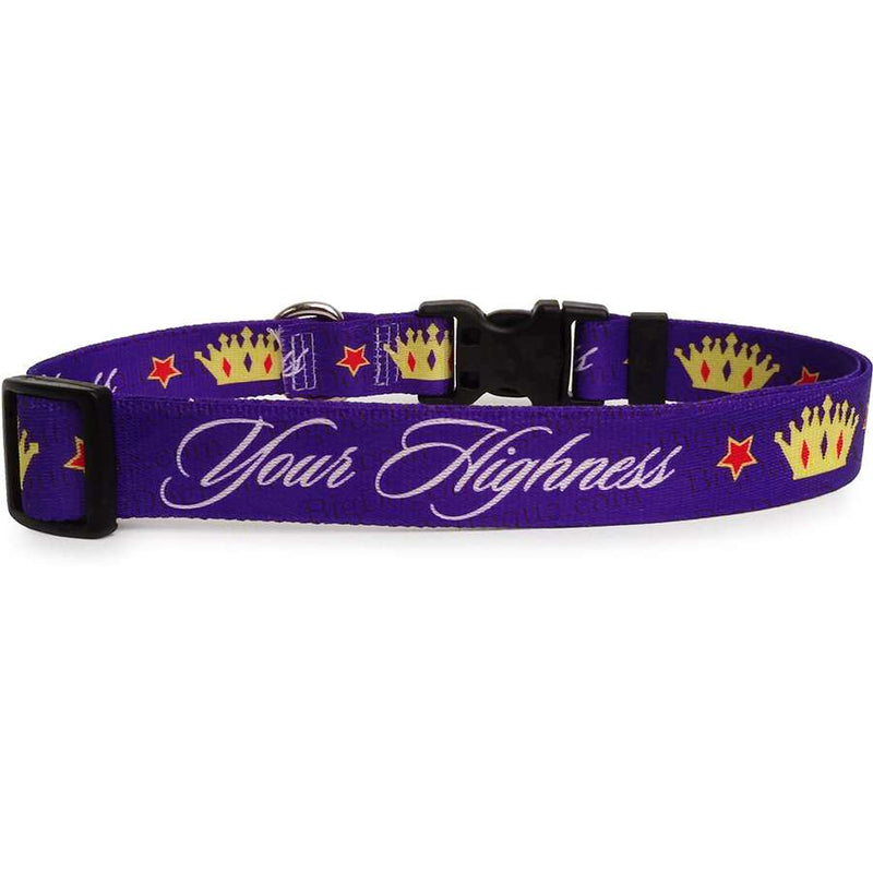 Your Highness Purple Dog Collar