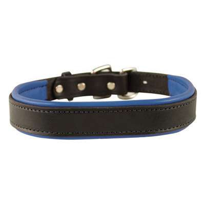 Perri's Padded Leather Dog Collar- black with royal blue padding- USA made