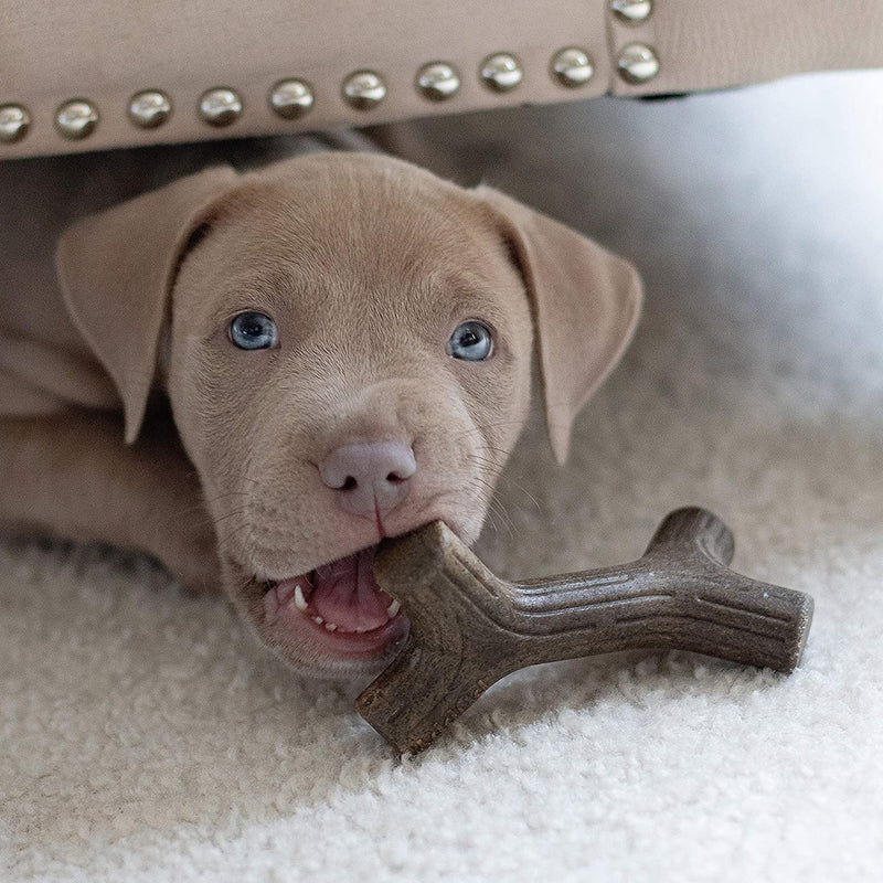 Benebone Puppy Pack - Zaggler & MapleStick Dog Chew