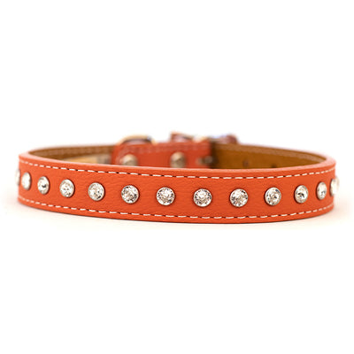 Tuscan Leather Collars for Dogs