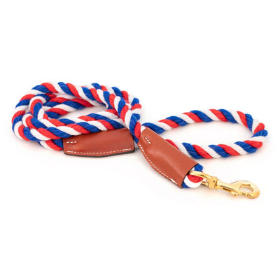 All Natural Leather & Cotton Braided Rope Dog Leash- USA made