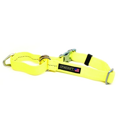 Spindrift Buckle Martingale Dog Training Collar