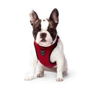 Canada Pooch Everything (Red) No-Pull Harness for Dogs