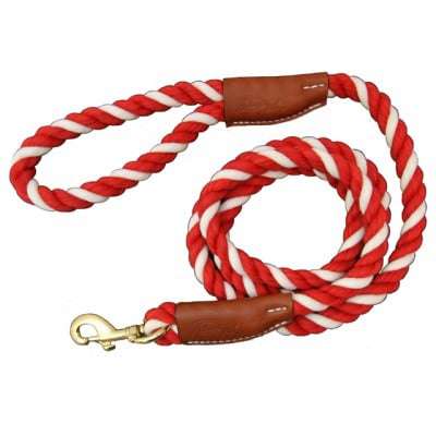 All Natural Leather & Cotton Rope Slip Leash