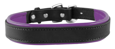 Perri's Padded Leather Dog Collar- black with purple padding- USA made