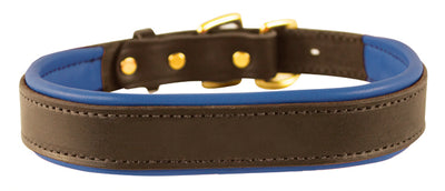 Perri's Padded Leather Dog Collar- brown with royal blue padding- USA made
