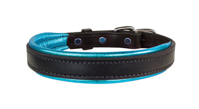 Perri's Padded Leather Dog Collar- black with metallic turquoise padding- USA made
