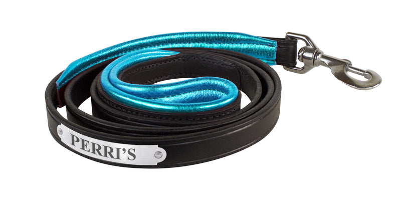 Engraved Perri’s Padded Leather Dog Leash - 21 Color options- USA Made